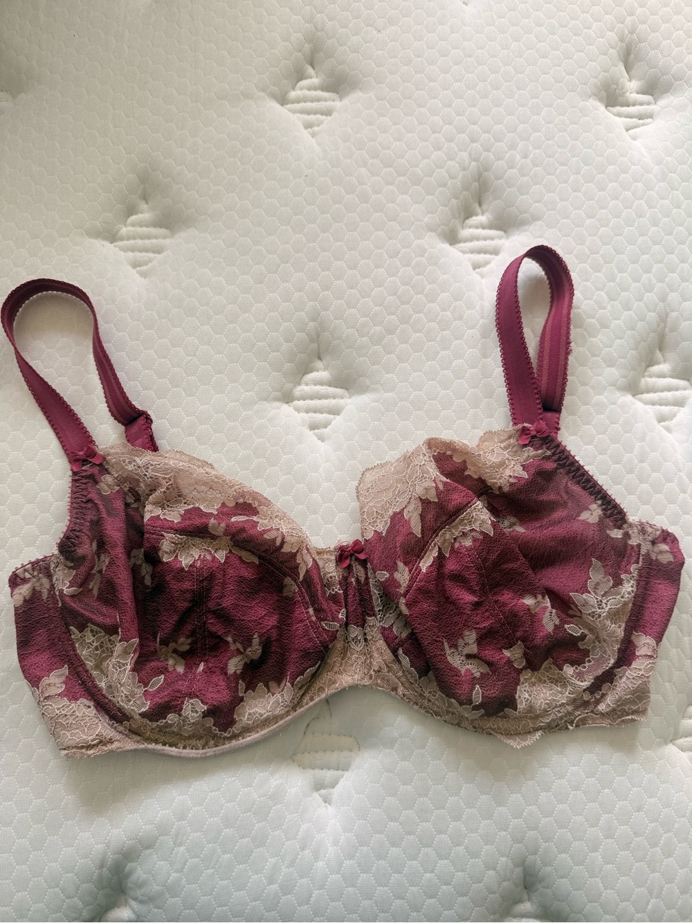 Lace-Trim Underwire Bra in Burgundy and Beige